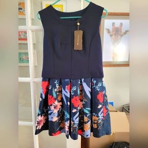 NWT ELLASSAY Dress